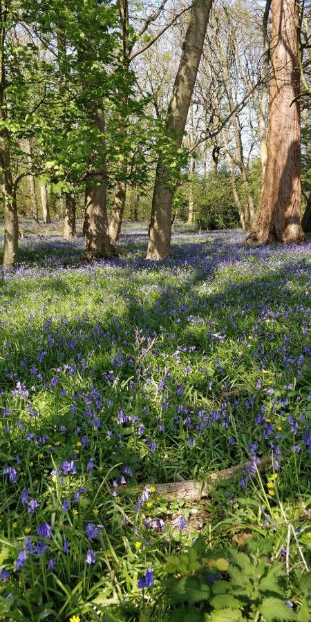 Pinfield Boutique Hotel Hedgerley Bagian luar foto